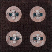Polaritt dunkel